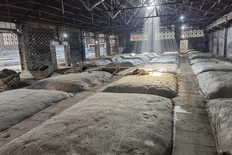 安寧基地178口 30年老窖池