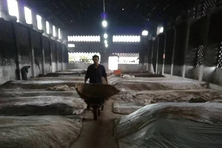 牛灘28口窖池始建于1984年，近40年老窖池